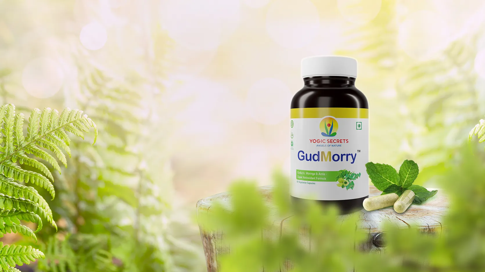 clinic-website-designing-services