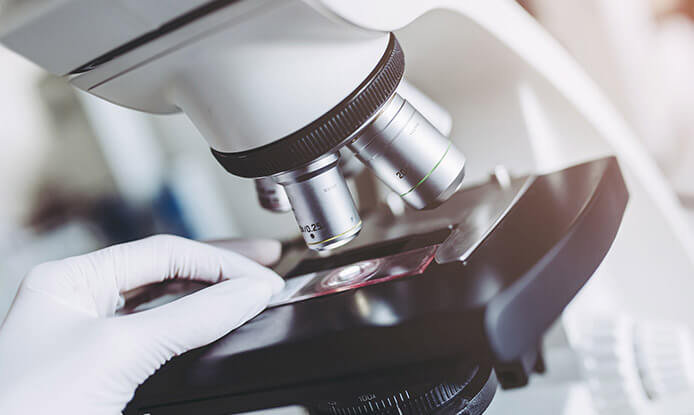 doctor-website-designing-services